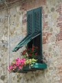 Blumen