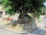 Weg dahin