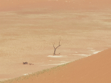 Dead Vlei