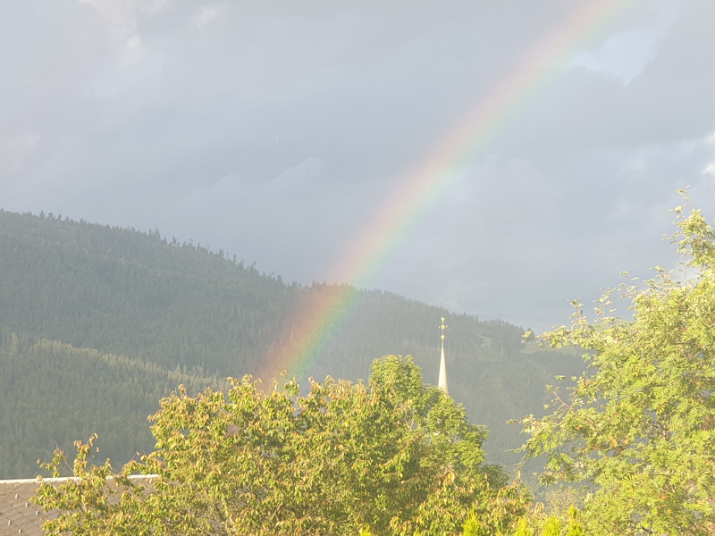 Regenbogen